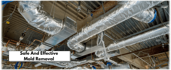 Air Duct Mold Removal in Atlanta