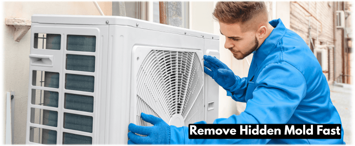 HVAC Mold Removal Atlanta